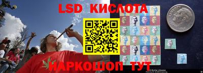 крисы Камышлов