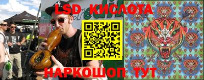 спайс Кандалакша