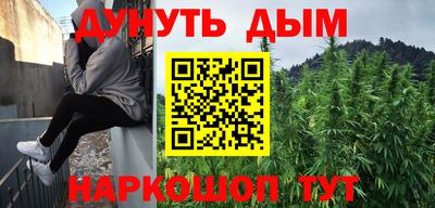 крисы Камышлов