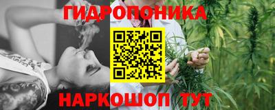 крисы Камышлов
