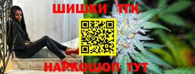 крисы Камышлов